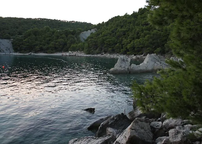 Plazibat *